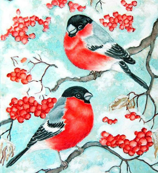 Картинки по запросу берегите птиц зимой