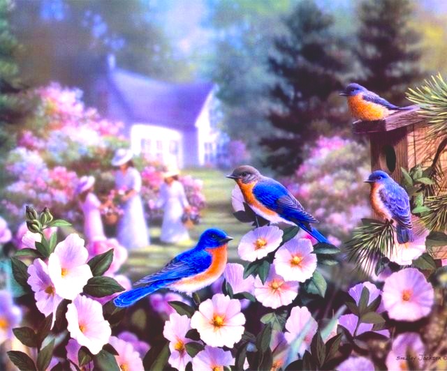 Bradley Jackson  Птички и цветы