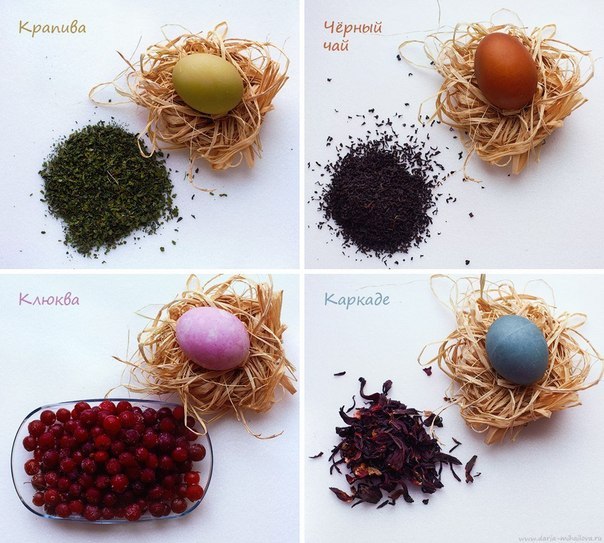 Окрашивание яиц природными красителями