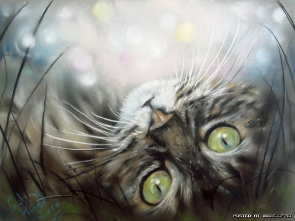 Очаровательные кошки от английского художника Пола Найта (Paul Knight)