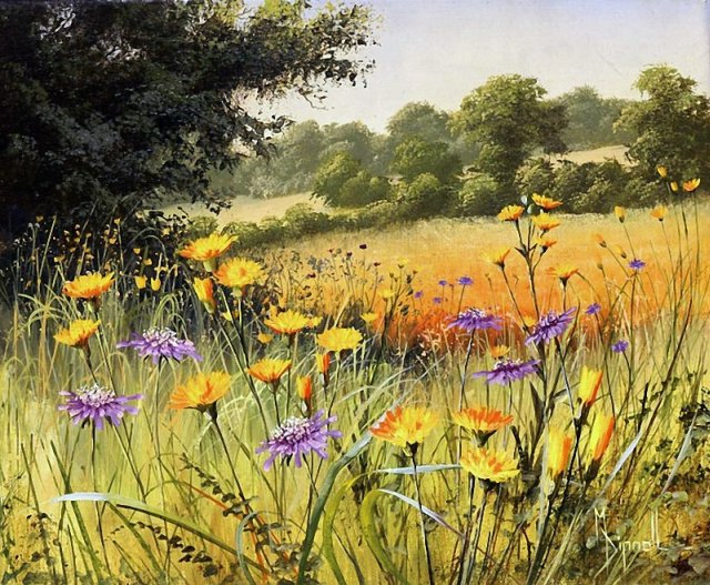 Обаяние простых полевых цветов в работах художницы Мери Дипнелл.