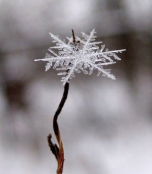 Если в сердце - безверья холод