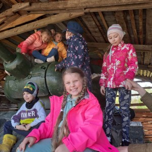 Стальной десант