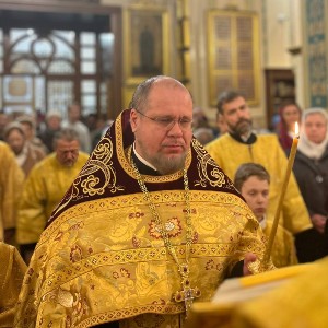 17 неделя по 50-це