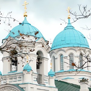 Музей истории Спасо-Парголовского храма