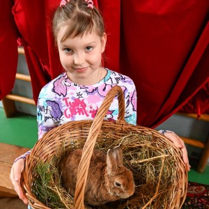 Рождественская сказка