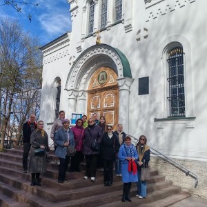 Дыхание вечности под сенью сосен