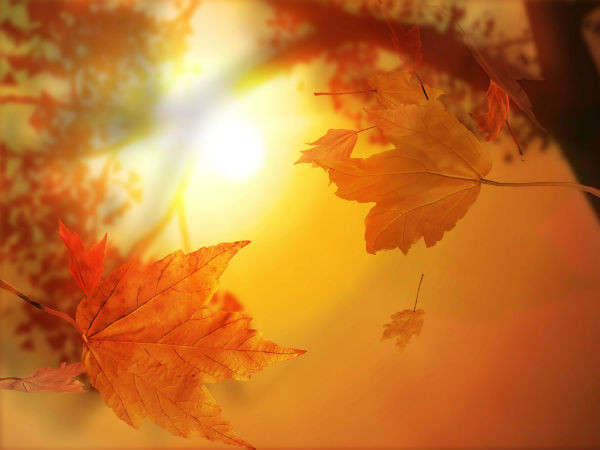Осеннее солнце