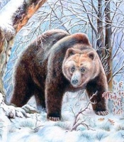 Зимняя история о двух ребятах и медведе